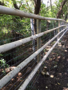 4 Rail Horse Fence