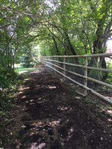 4 Rails Horse Fence