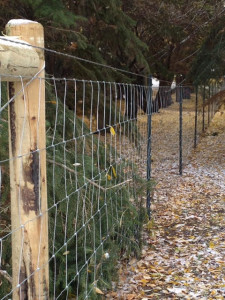 4' Paige Wire