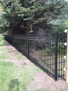 5' Black Ornamental