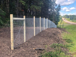 5' Horse Fence