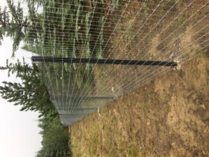 6' Horse Fence