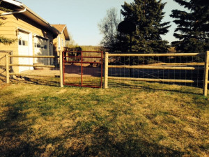 6' Man Gate