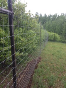 8' Elk Fence