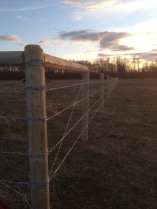Barbed Wire Fence
