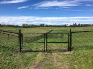 Chain Link Gate