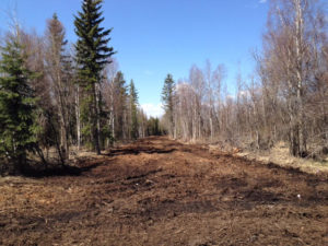 Mulched Path