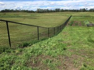 Country Chain Link