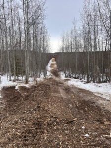 Cleared Path