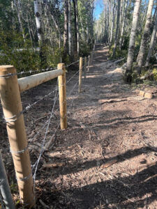Cleared Trail