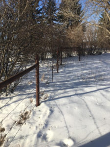 Sucker Rod Fencing